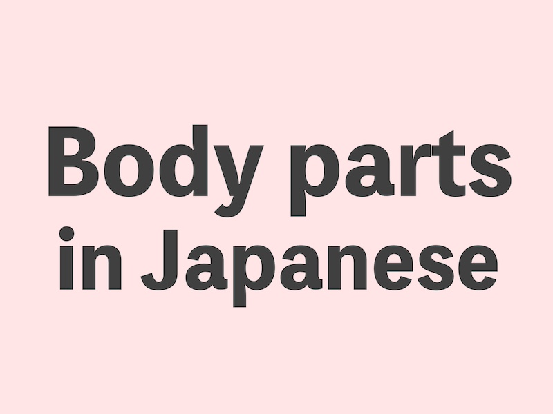 Body parts in Japanese