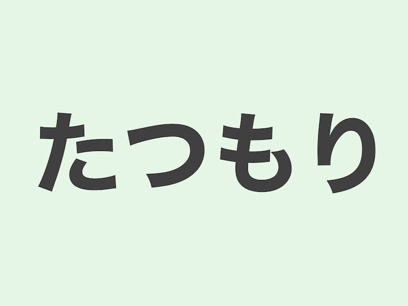 たつもり　文法