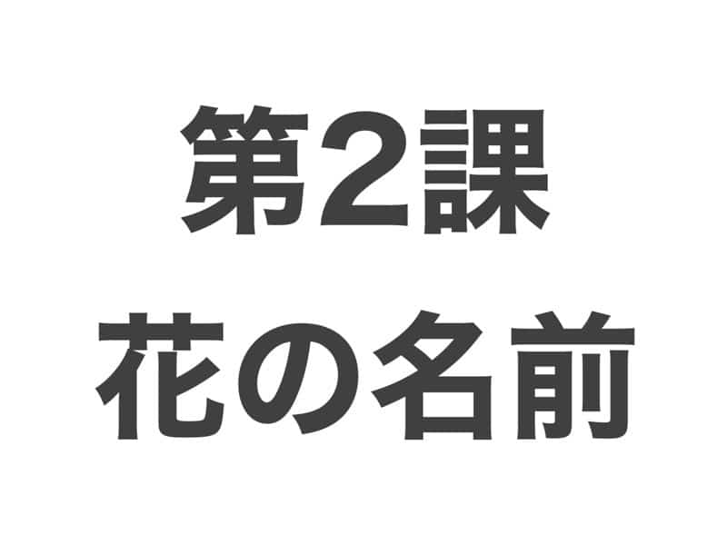 花の名前　中級から学ぶ日本語