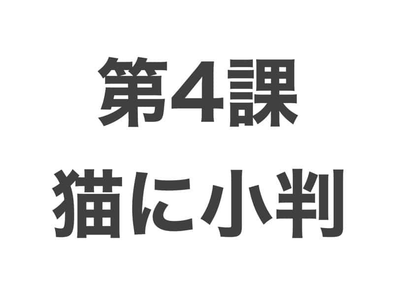 猫に小判　中級から学ぶ日本語