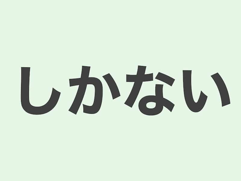 しかない　文法