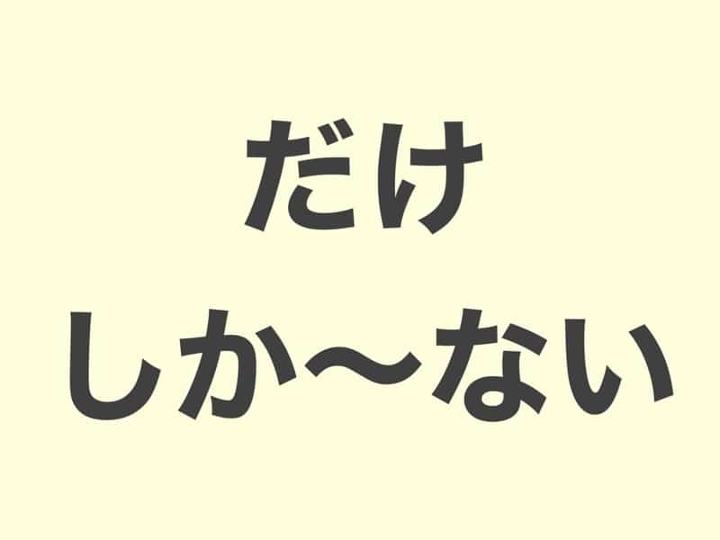 だけ　しか〜ない　　文法