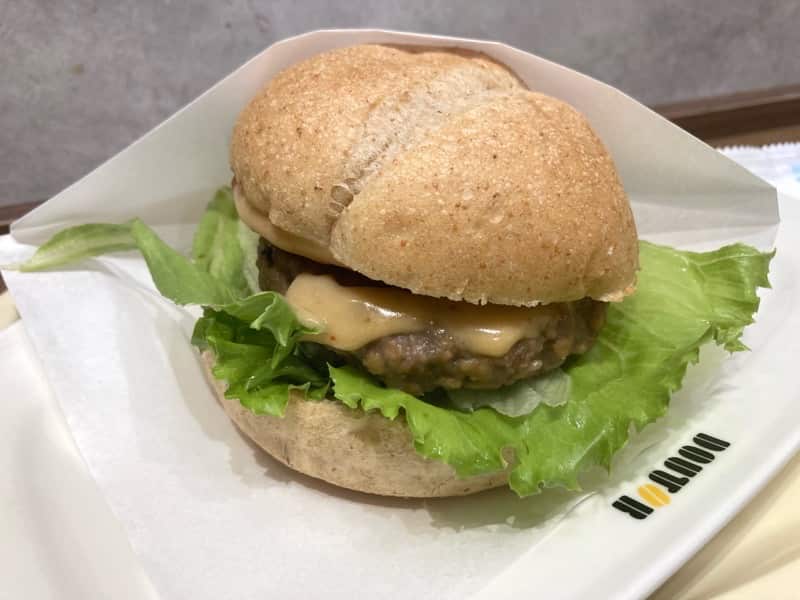 doutor vegan